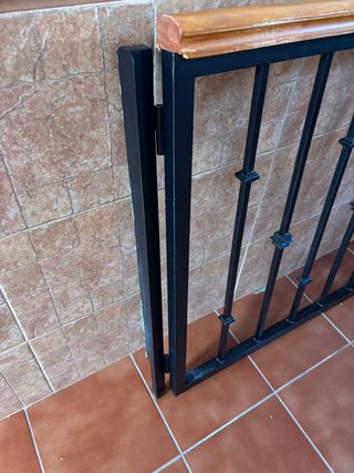 2 cancelas/puertas de hierro forjado