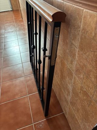 2 cancelas/puertas de hierro forjado