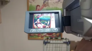 Videocámara Canon DVD plateada y negra