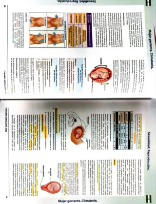 Temario OPE enfermería SAS