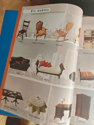 Imatges diccionari visual catalán