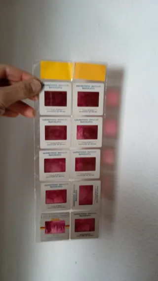 Diapositivas Cuevas de Altamira Kodak