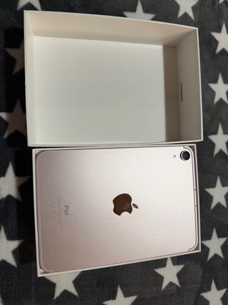 iPad mini 6 Cellular rosa