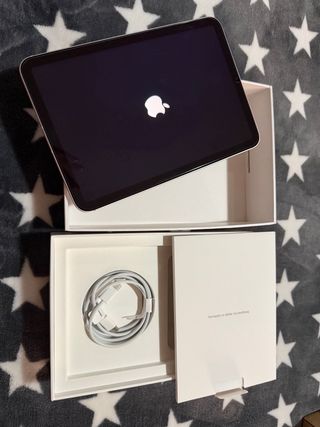 iPad mini 6 Cellular rosa