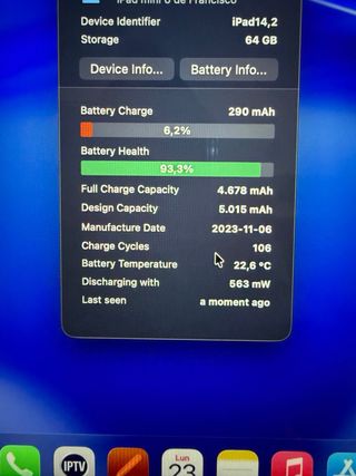 iPad mini 6 Cellular rosa