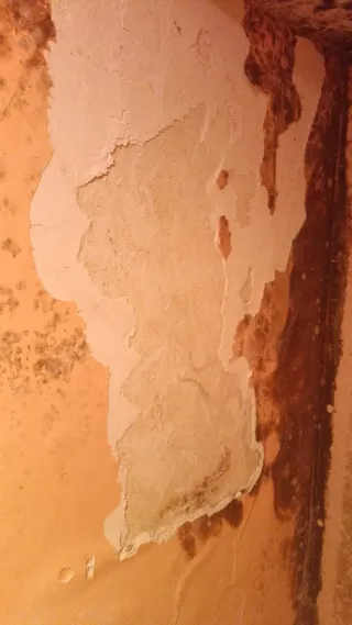 Trabajos albañilería,soldadura,limpiezas,etc...