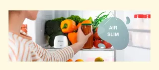 Ozonizador/ionizador (purificador de aire) portáti