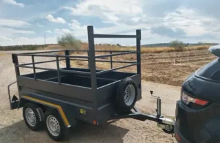 Remolque 220x140 Doble Eje