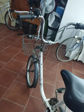 Triciclo de paseo Monty