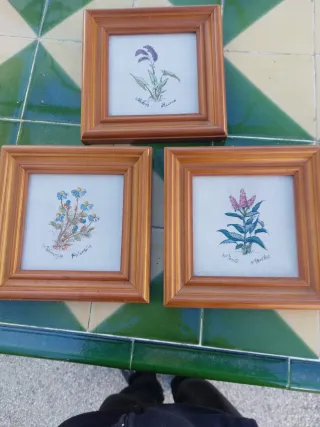 Quadri di natura morta con frutta e candela, vari