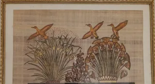 Busco trabajo en los yebenes