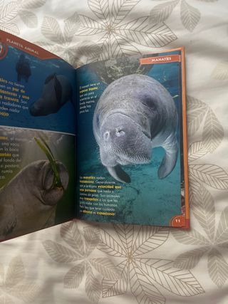 DISNEY MIS AMIGOS LOS ANIMALES (EAGLEMOSS) vol. 8