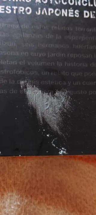 Junji Ito: Relatos terroríficos núm. 01