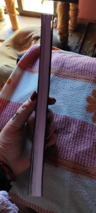 Junji Ito: Relatos terroríficos núm. 01