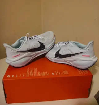 Nike Air Zoom Pegasus 41 Talla 41