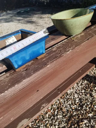 Set di vasi bonsai in ceramica 2 + 1 in regalo