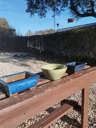 Set di vasi bonsai in ceramica 2 + 1 in regalo