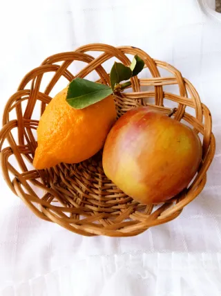 Cesto vimini antico vintage