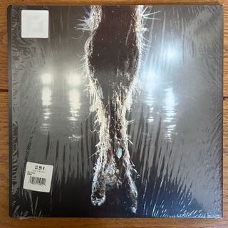 Miley Cyrus-Something Beautiful (vinilo LP rojo)