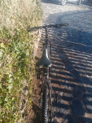 Bicicleta Montaña Rockrider 8.1