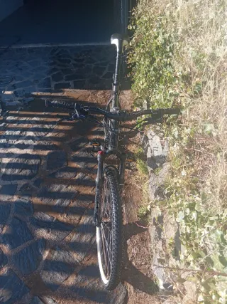 Bicicleta Montaña Rockrider 8.1