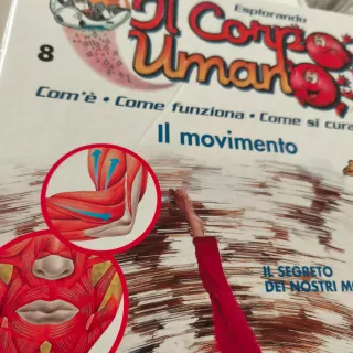 Esplorando il corpo umano 5-6-7-8-9