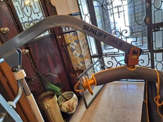 Grúa para impedidos con baterías y arnés