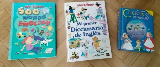 Lote libros ingles