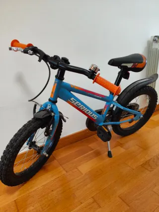 Bicicleta infantil Serious R16