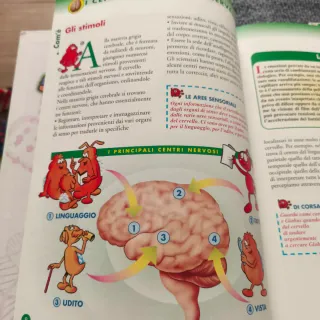 Esplorando il corpo umano 17-18-19-20-21