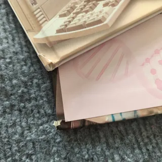 Esplorando il corpo umano 17-18-19-20-21