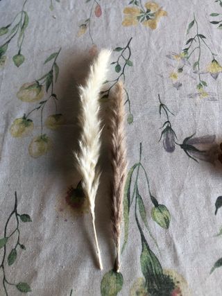 Piume decorative beige e marroni