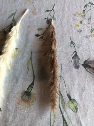 Piume decorative beige e marroni