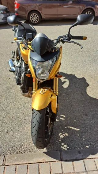 Honda Hornet CB600F Dorada