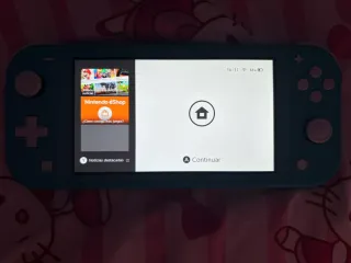 Nintendo switch lite