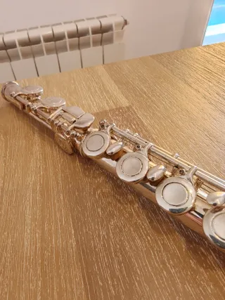 Flauta travesera Trevor J. James