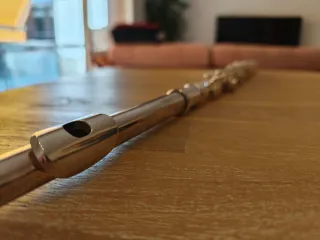 Flauta travesera Trevor J. James