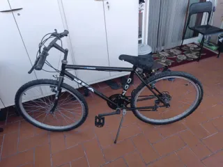 Bicicleta Montaña Shimano Ruedas Michelin