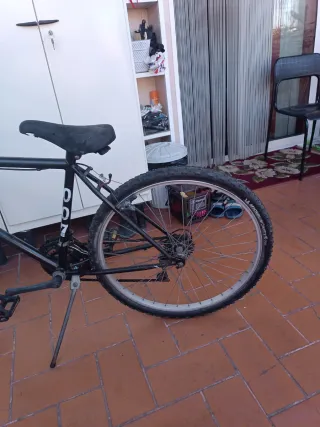 Bicicleta Montaña Shimano Ruedas Michelin