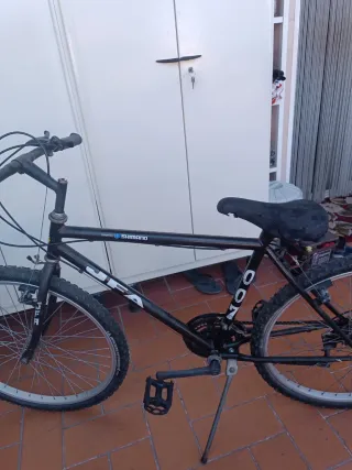 Bicicleta Montaña Shimano Ruedas Michelin