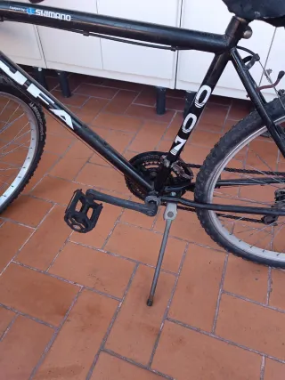 Bicicleta Montaña Shimano Ruedas Michelin