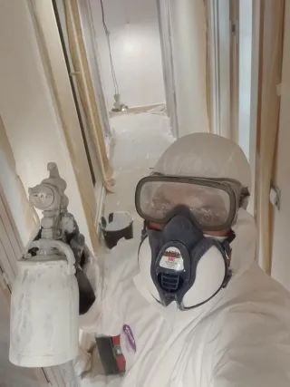 Pintor profesional con experiencia