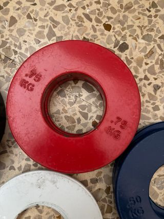 Juego discos pesas halterofilia (varios kg)