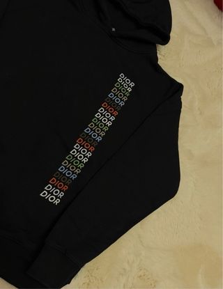 Felpa Dior Multicolor