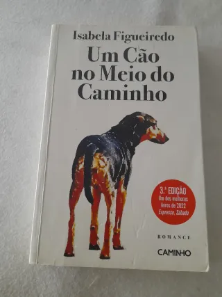 Um cão no meio do caminho