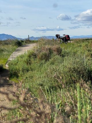 Bicicleta Gravel Kona Rove