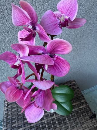 Orquídea Artificial Rosa e Verde