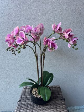 Orquídea Artificial Rosa e Verde