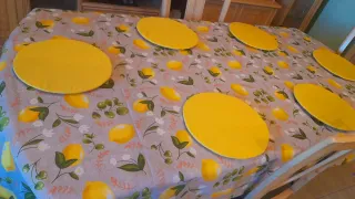 Mantel y 6 bajoplatos limones