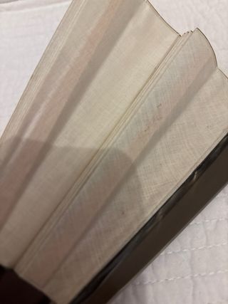 Abanico antiguo pintado a mano
